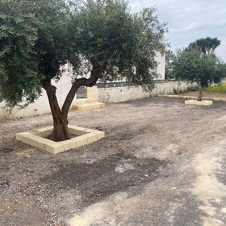 Case Vacanze Giovanna Petrosino Kültér fotó
